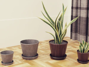 Plants Pots Collection Vol 03 3D Model