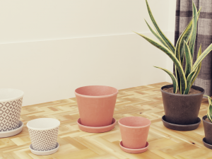 Plants Pots Collection Vol 03 3D Model