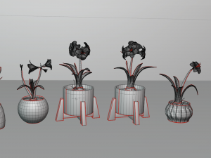 Collection of amaryllis flower Collection Plants Vol 02 3D-Modell