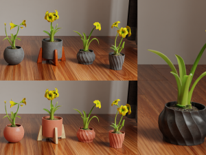 Collection of amaryllis flower Collection Plants Vol 02 3D-Modell