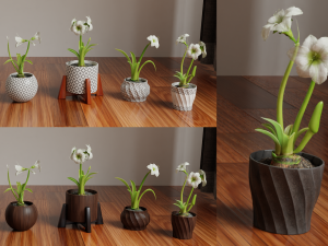 Collection of amaryllis flower Collection Plants Vol 02 3D-Modell