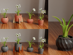 Collection of amaryllis flower Collection Plants Vol 02 3D-Modell