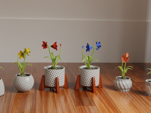 Collection of amaryllis flower Collection Plants Vol 02 3D-Modell