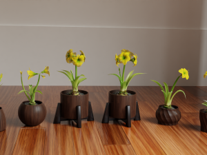 Collection of amaryllis flower Collection Plants Vol 02 3D-Modell