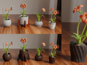 Collection of amaryllis flower Collection Plants Vol 02 3D-Modell
