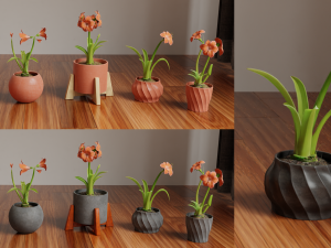 Collection of amaryllis flower Collection Plants Vol 02 3D-Modell