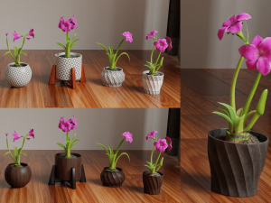 Collection of amaryllis flower Collection Plants Vol 02 3D-Modell