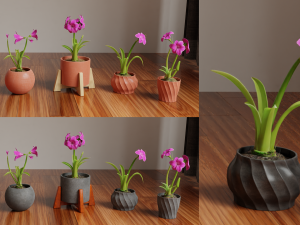 Collection of amaryllis flower Collection Plants Vol 02 3D-Modell