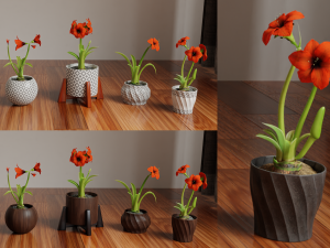 Collection of amaryllis flower Collection Plants Vol 02 3D-Modell