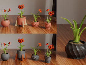 Collection of amaryllis flower Collection Plants Vol 02 3D-Modell