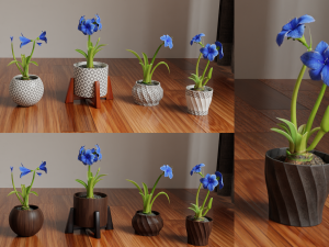 Collection of amaryllis flower Collection Plants Vol 02 3D-Modell