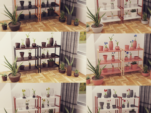 Plants pots collection vol 04 Modelo 3D