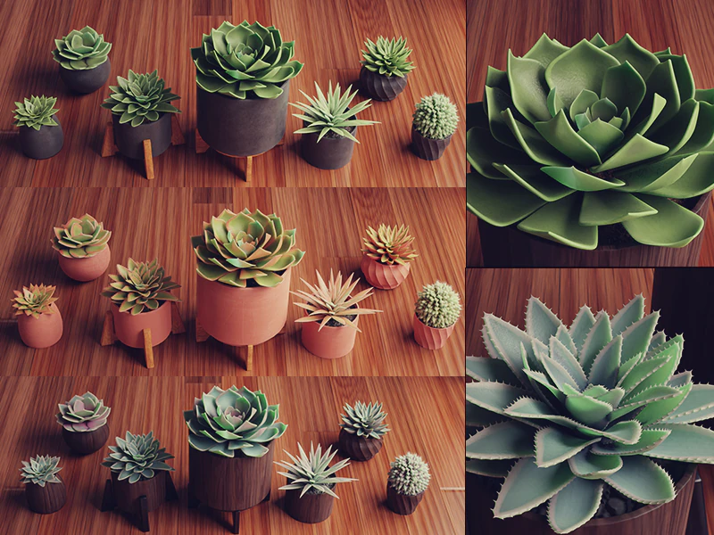 Collection of Succulent Plants Plants Vol 03 3D Model .c4d .max .obj .3ds .fbx .stl .blend 
