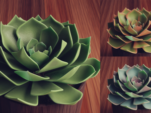Collection of Succulent Plants Plants Vol 03 3D 모델