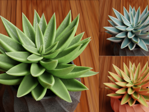 Collection of Succulent Plants Plants Vol 03 3D 모델