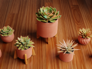 Collection of Succulent Plants Plants Vol 03 3D 모델