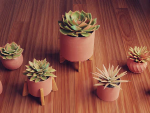 Collection of Succulent Plants Plants Vol 03 3D Model