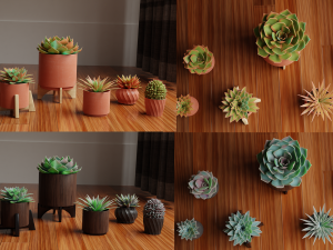 Collection of Succulent Plants Plants Vol 03 3D 모델