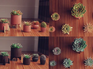 Collection of Succulent Plants Plants Vol 03 3D Model