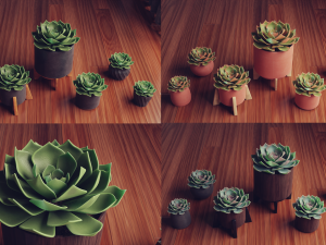 Collection of Succulent Plants Plants Vol 03 3D 모델