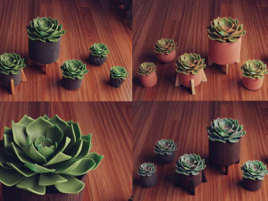 Collection of Succulent Plants Plants Vol 03 3D Model