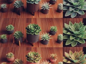 Collection of Succulent Plants Plants Vol 03 3D 모델