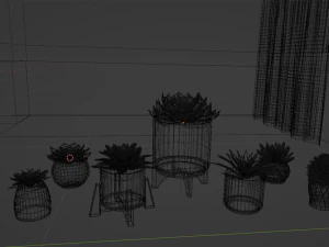 Collection of Succulent Plants Plants Vol 03 3D Model
