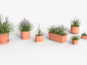 Collection of Liriope grass Plants Vol 05 3D Модель