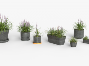 Collection of Liriope grass Plants Vol 05 3D Модель
