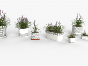Collection of Liriope grass Plants Vol 05 3D Модель