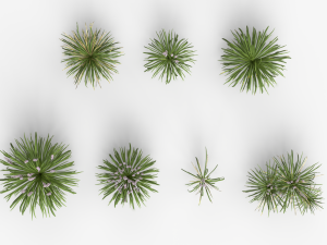 Collection of Liriope grass Plants Vol 05 3D Модель