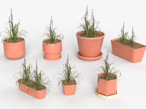 Collection of Liriope grass Plants Vol 05 3D Модель