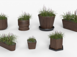 Collection of Liriope grass Plants Vol 05 3D Модель