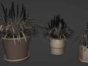 Collection of Liriope grass Plants Vol 05 3D Модель