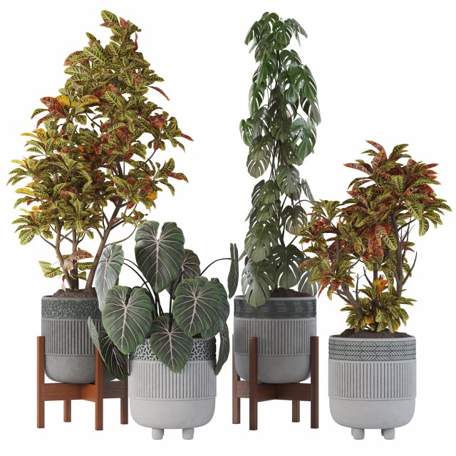 Indoor Plant Collection 05 3D Модель .c4d .max .obj .3ds .fbx .stl .blend 
