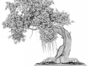 Bonsai 06 Modelo 3D