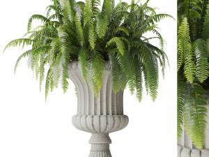 Boston Fern In Classic Vase 3D Model