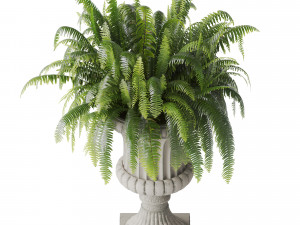 Boston Fern In Classic Vase 3Dモデル