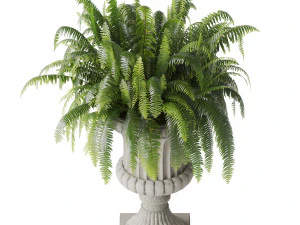 Boston Fern In Classic Vase 3D Model
