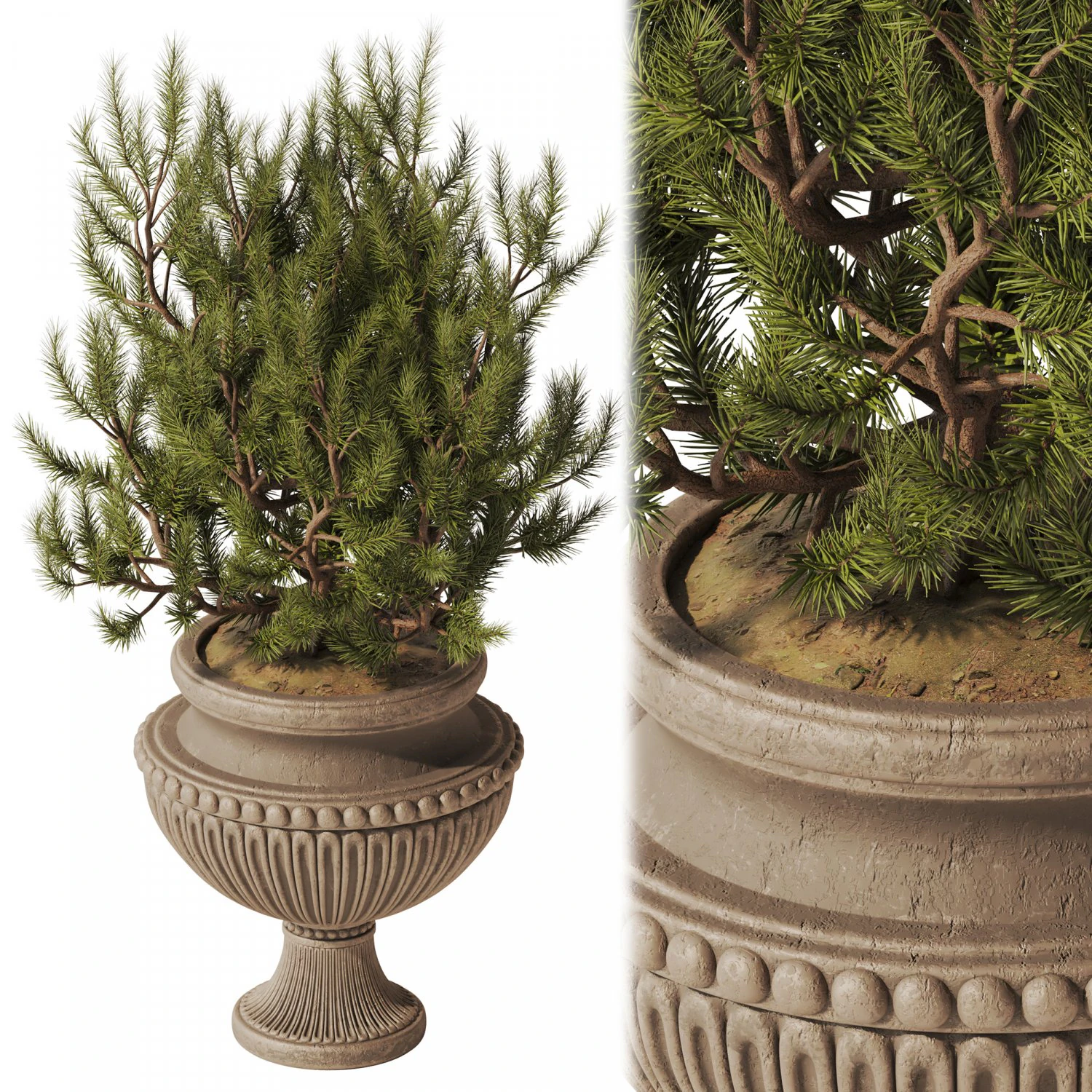 Decorative Pine In Classic Vase 3D Model .c4d .max .obj .3ds .fbx .stl .blend 