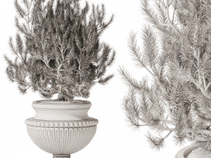 Decorative Pine In Classic Vase 3D Model