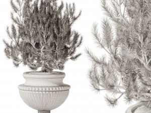 Decorative Pine In Classic Vase 3D Model