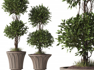 Topiary Pot Modello 3D