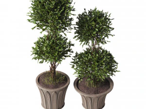 Topiary Pot 3D Model