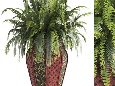 सजावटी प्लांटर में बोस्टन फ़र्न का पौधा 3D मॉडल