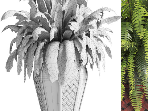 Boston Fern Plant In Decorative Planter 3D Model