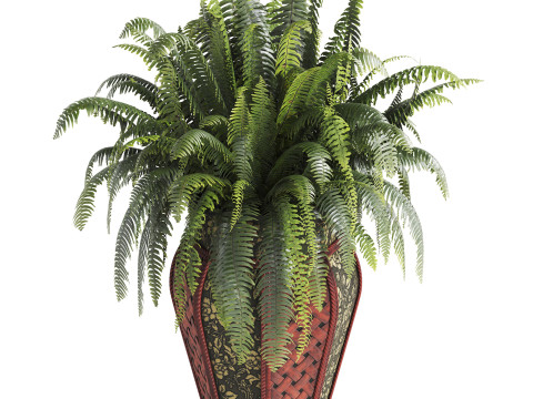 Boston Fern Plant In Decorative Planter 3D Model