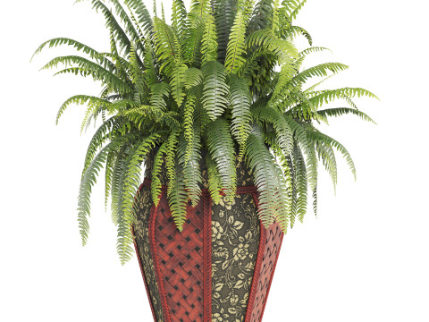Boston Fern Plant In Decorative Planter 3D Model
