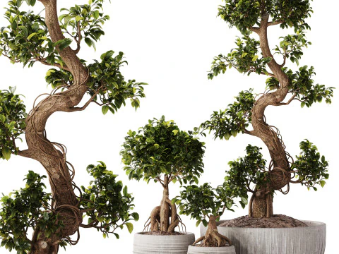 Conjunto Bonsai 07 Modelo 3D