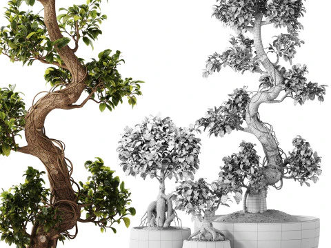 Bonsai Set 07 3D Model